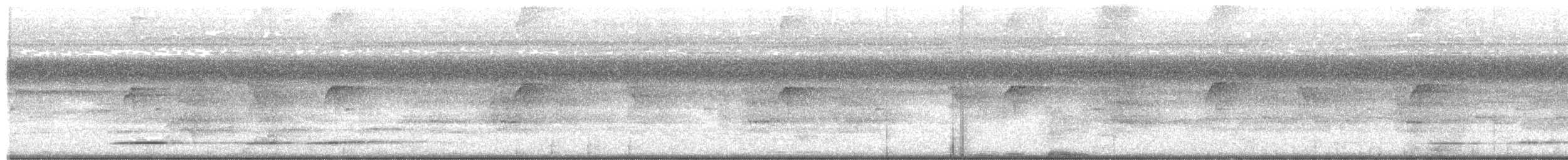 Undulated Tinamou - ML479222691