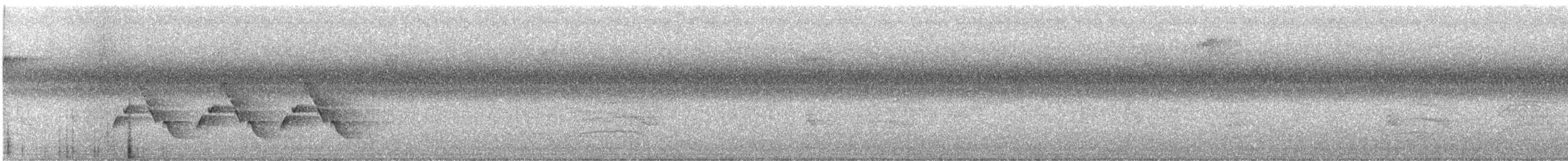 Поплітник каролінський - ML479228591