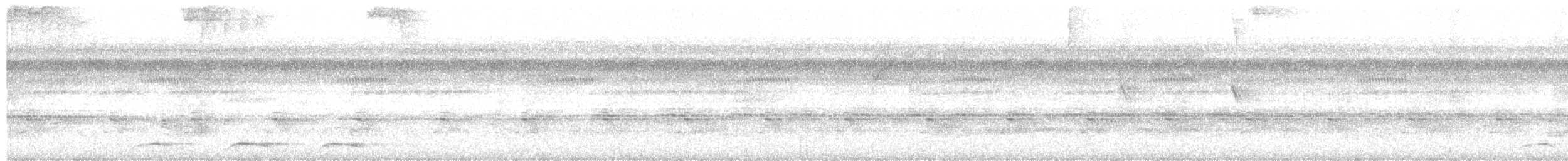Trogon aurore - ML479229101
