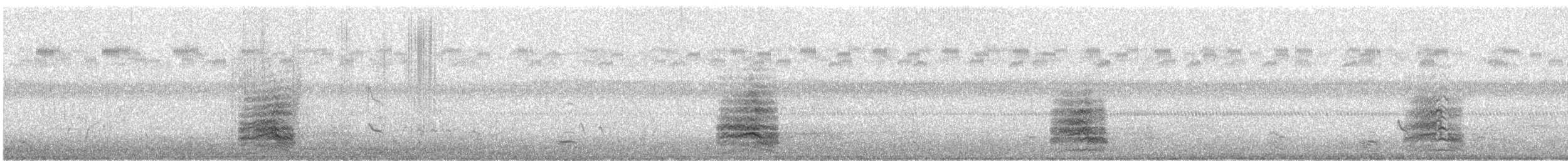 オニアジサシ - ML479238221