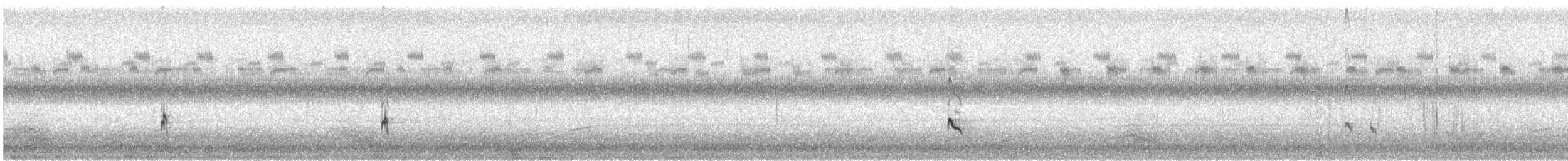 コキアシシギ - ML479238901