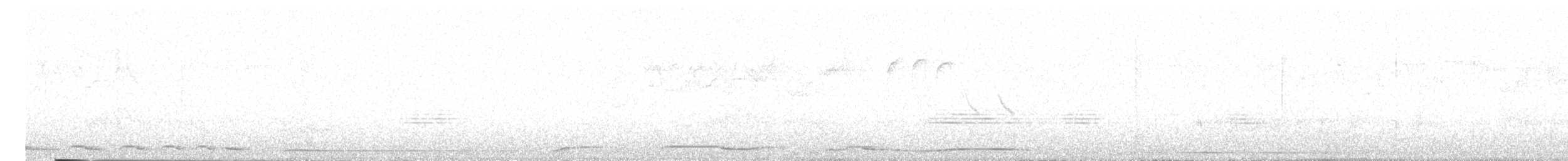 holub klínoocasý - ML479258301