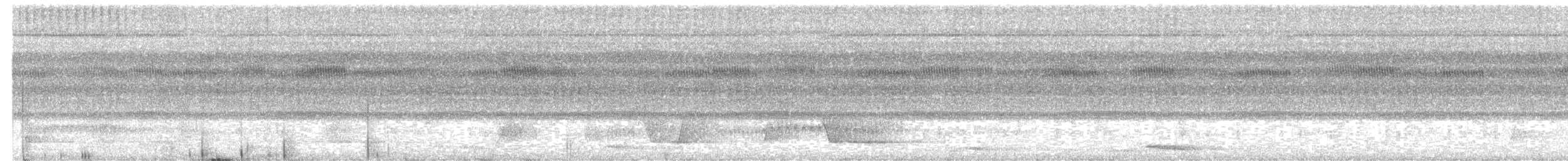 Todirostre de Snethlage - ML479286531