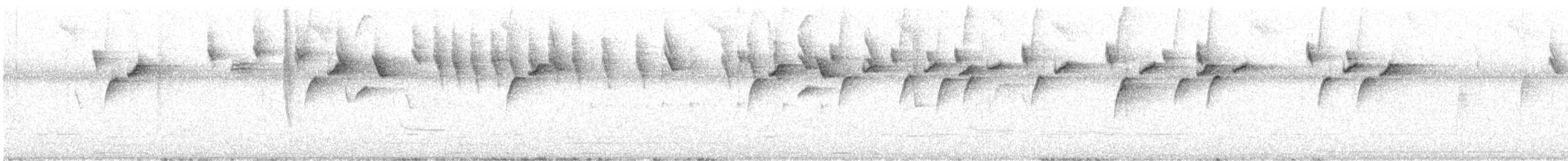 Rotsteiß-Spitzschnabel - ML479355351