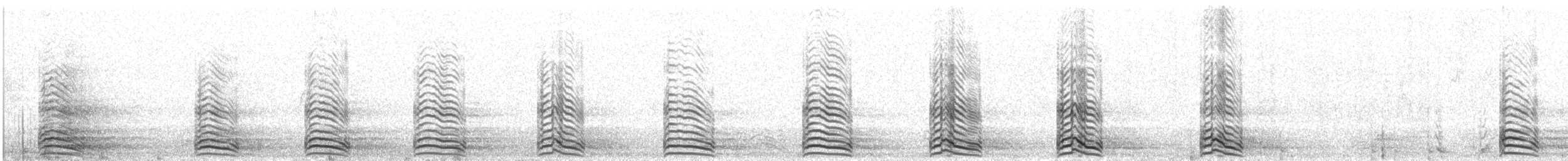 Lesser Black-backed Gull - ML479358561