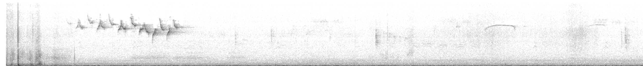 lesňáček černobílý - ML479385751