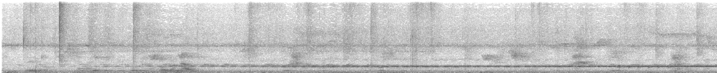 Streifenbrust-Ameisendrossel - ML479494361
