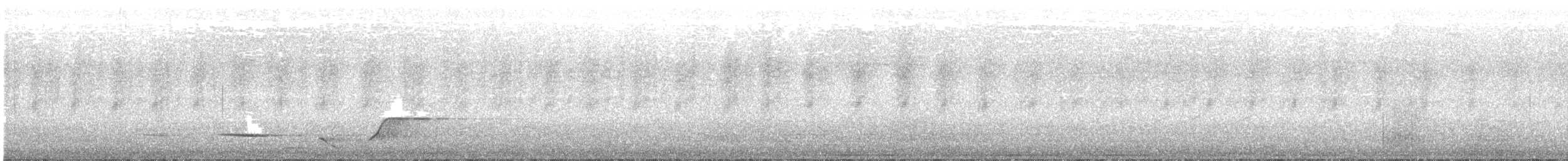 Siffleur gris - ML479583671
