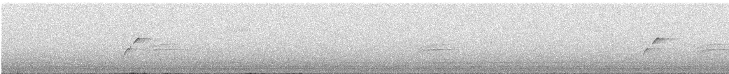 Batı Amerika Sinekkapanı (occidentalis/hellmayri) - ML479632911