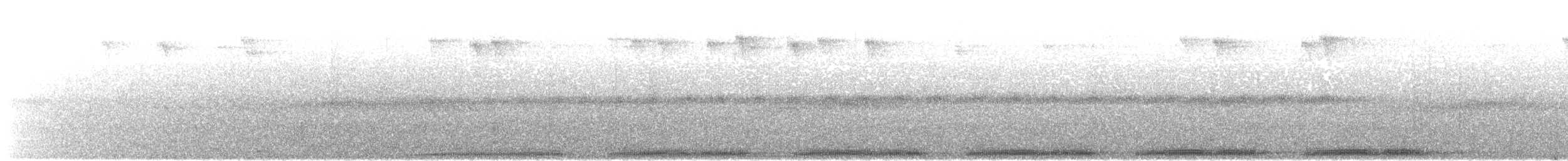 Білоніг новогвінейський (підвид plumiferus) - ML479634601
