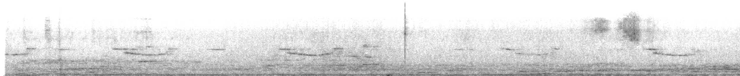 Breitspiegel-Nachtschwalbe (longirostris) - ML479712291