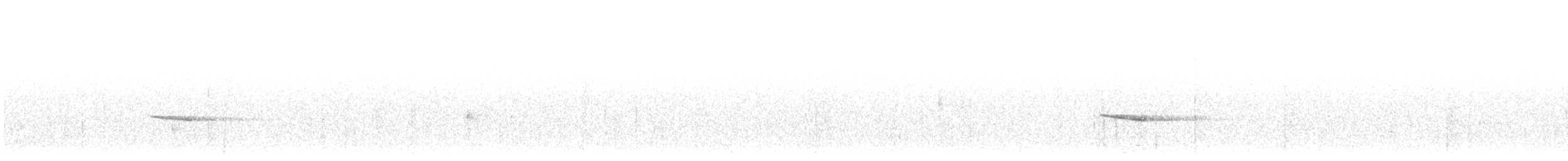 Hermit Thrush - ML479742871