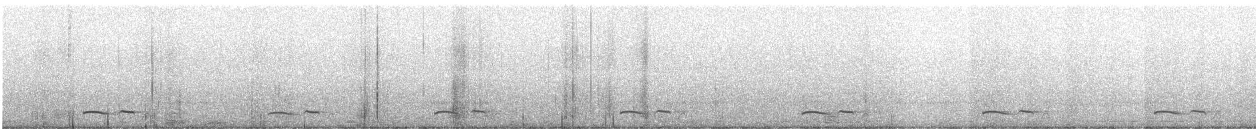 Common Poorwill - ML479787331