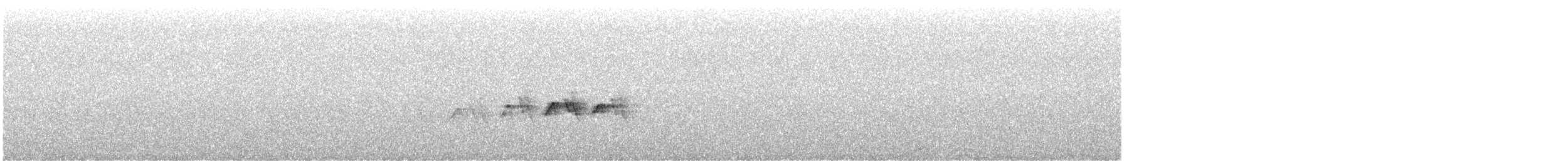 Белокрылая канделита - ML479826221