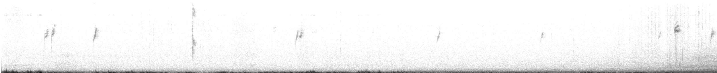 Белобровая овсянка (oriantha) - ML479830261