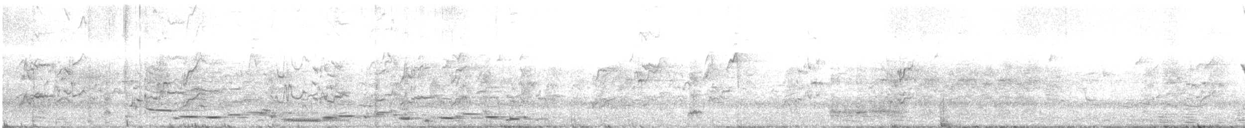 Avustralya Saksağanı (telonocua/tyrannica) - ML479881441