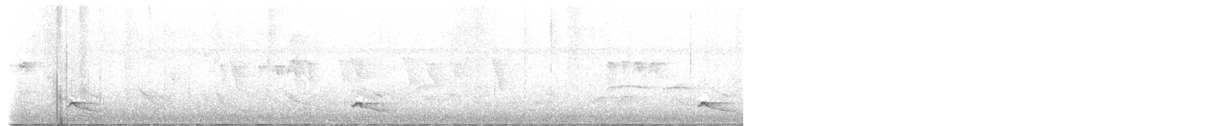 Troglodyte à poitrine blanche - ML480006981