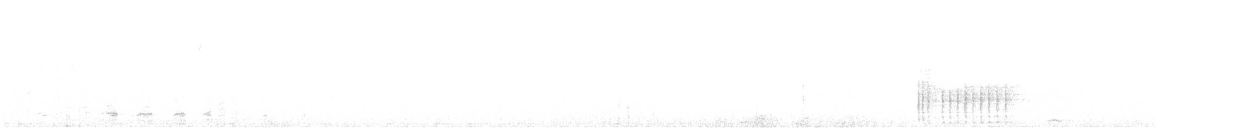 Belted Kingfisher - ML480013731