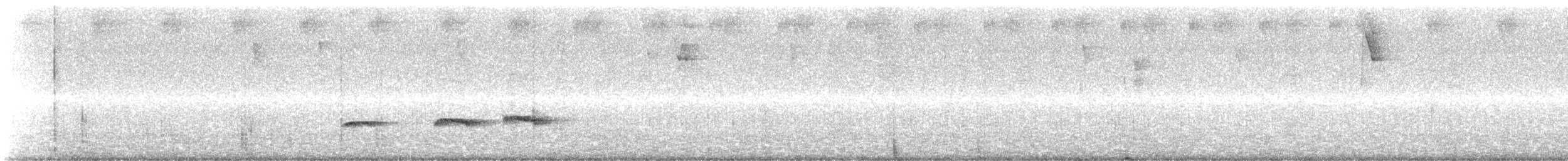 Grallaire de Kaestner - ML480017681