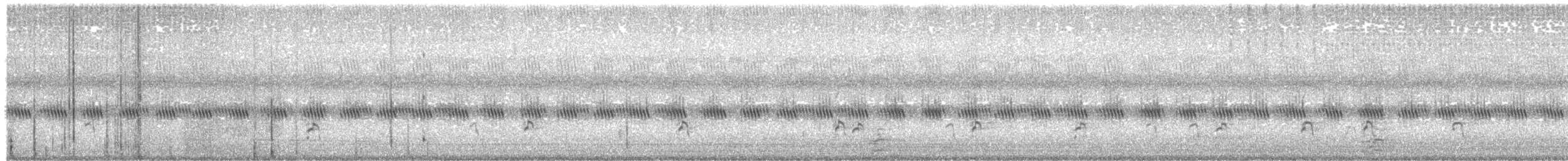 Braunhals-Säbelschnäbler - ML480021921