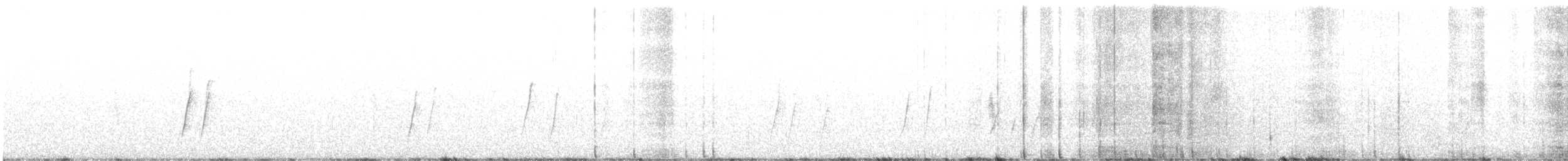 Krummschnabel-Spottdrossel - ML480081301