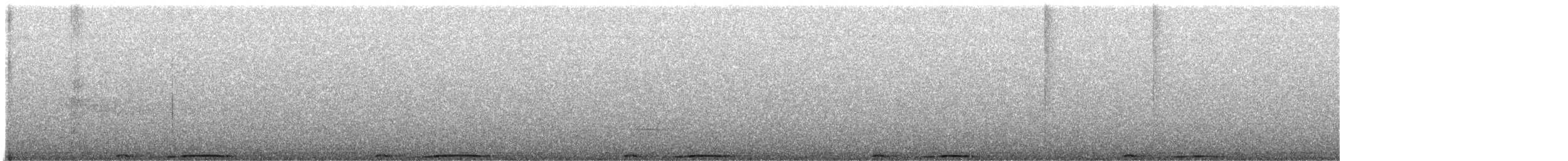 holub pruhoocasý - ML480105351