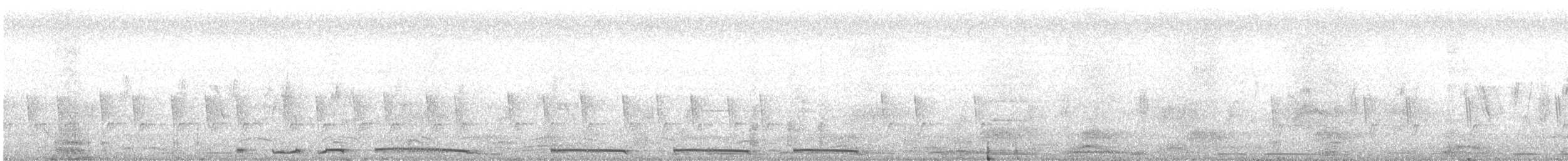 珠頸斑鳩 - ML480113301