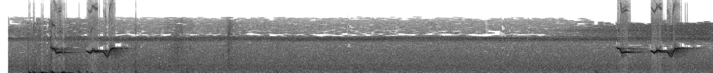 Рувензорская короткохвостка - ML480115471