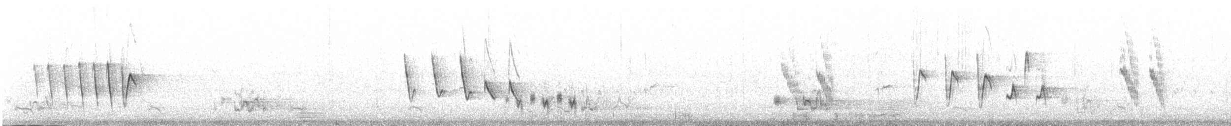 Mosquitero Oscuro - ML480127981