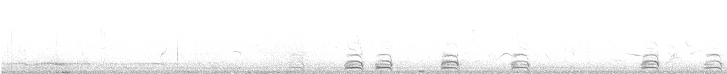krkavec krátkoocasý - ML480128061