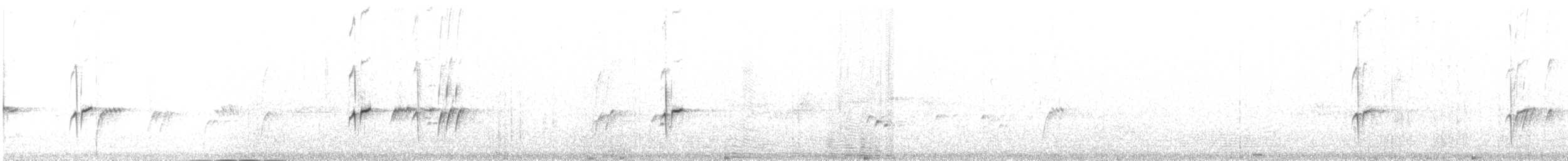 konopka šedohlavá - ML480128081