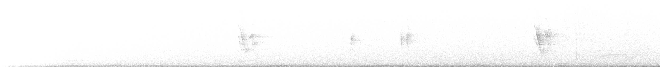 White Wagtail (White-faced) - ML480135581
