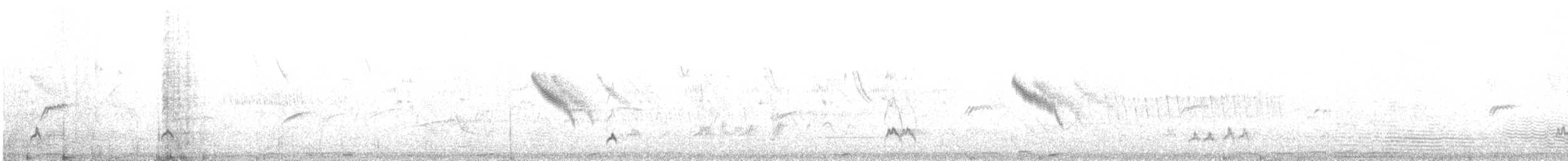European Bee-eater - ML480135691