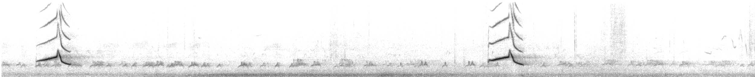 Rufipenne de Tristram - ML480135921