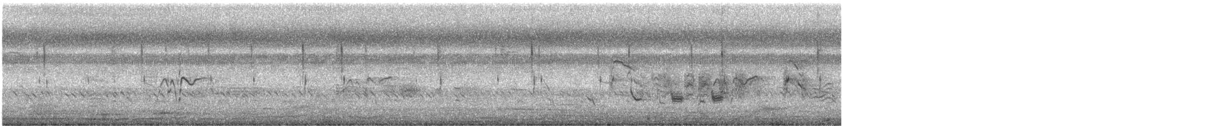 Cisticole des joncs - ML480139341