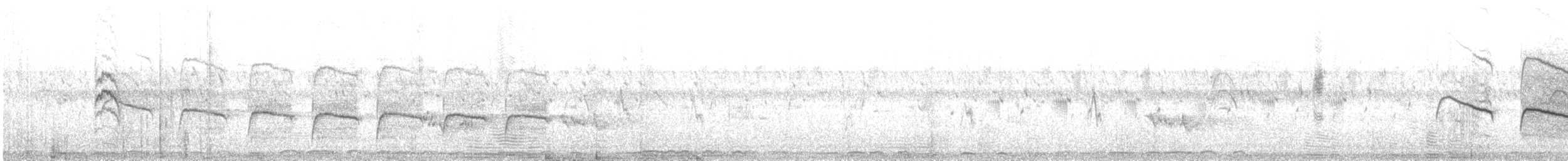 Ававийская дроздовка - ML480143061