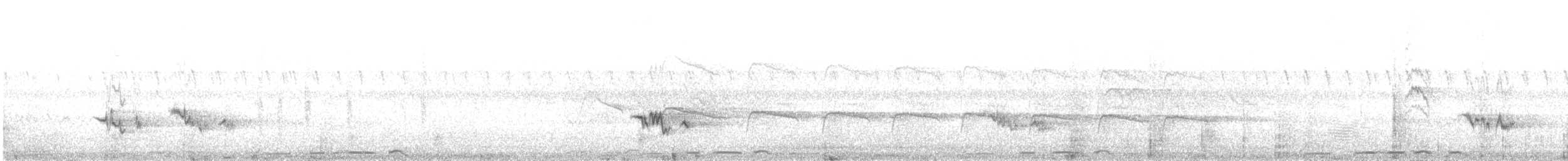 skalníček černoocasý - ML480143071