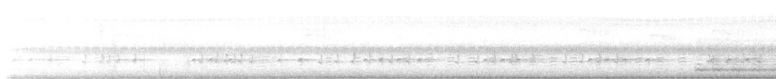 Шишкар ялиновий - ML480157221