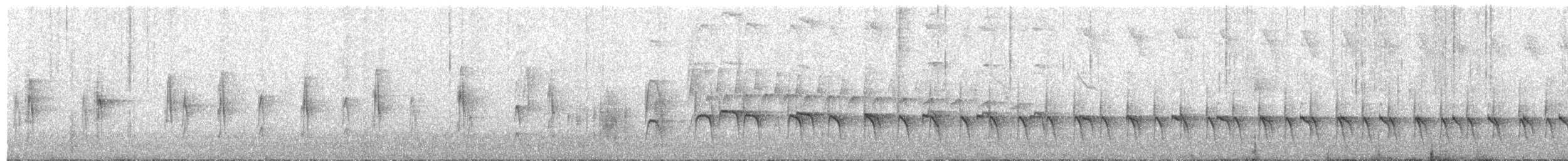 Rostflügel-Bündelnister - ML480164741