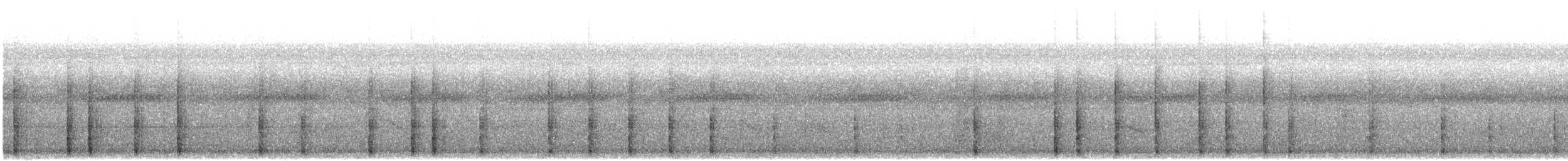 Picumne à sourcils blancs - ML480168011