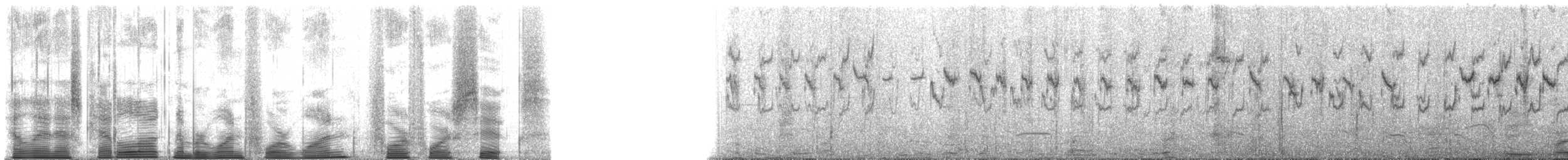 Stachelschwanzschlüpfer - ML480169911