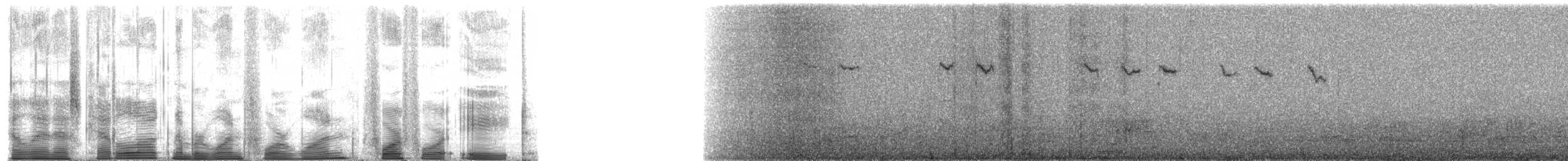 Stachelschwanzschlüpfer - ML480170811