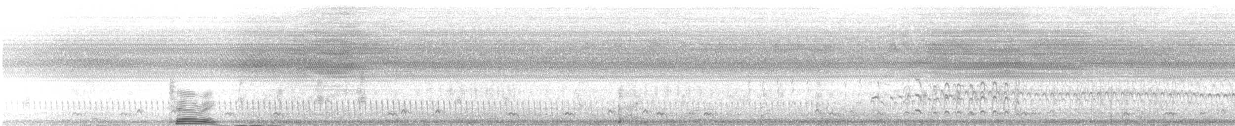Marmornachtschwalbe - ML480178681