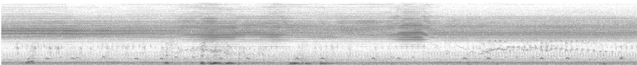 Marmornachtschwalbe - ML480178691