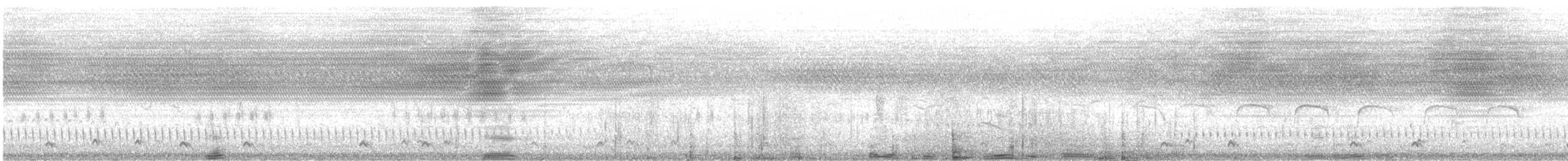 Marmornachtschwalbe - ML480178701