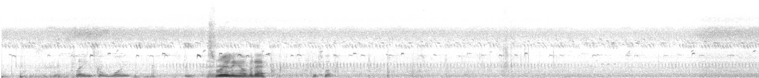 Marmornachtschwalbe - ML480191661