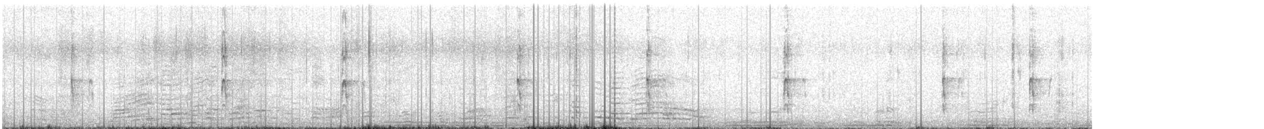 Buntspecht (canariensis/thanneri) - ML480191991