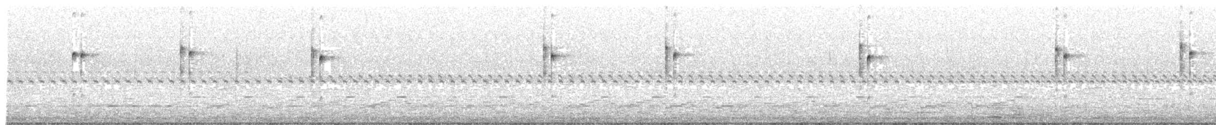 Picumne frangé - ML480230441