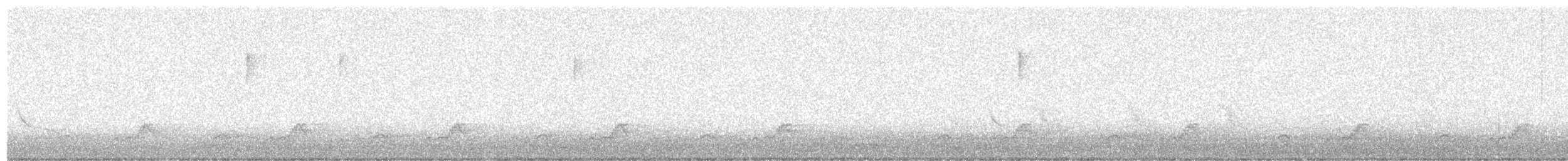 Schwarzkehl-Nachtschwalbe - ML48028181