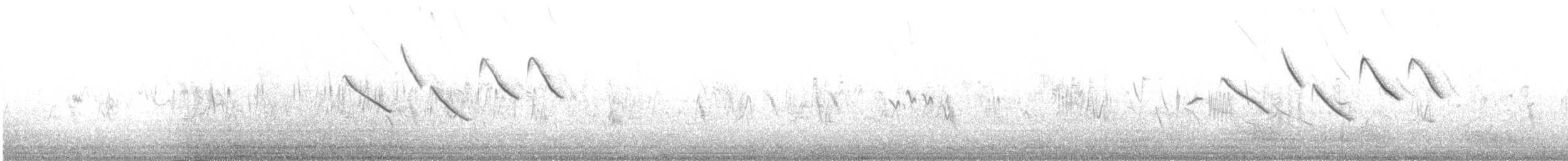 Arabian Serin - ML480352371